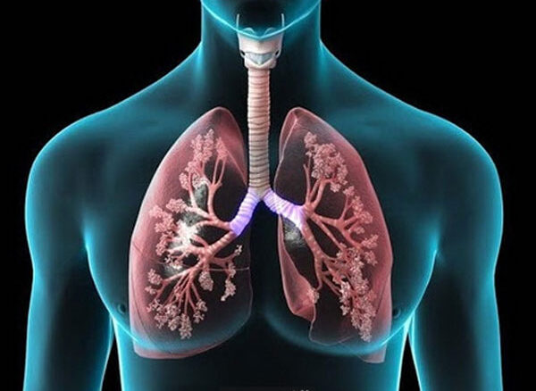 انسداد ریه مزمن (COPD) چیست و چه تفاوتی با سایر بیماری‌های انسدادی دارد؟